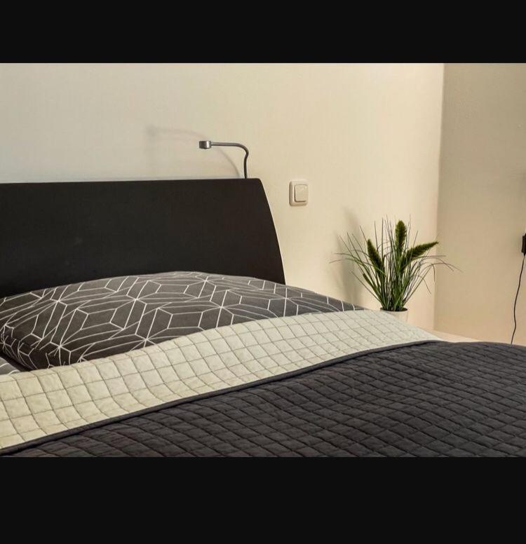Zimmer - Modernes Apartment Mit 45 Qm. Straubing Exterior photo